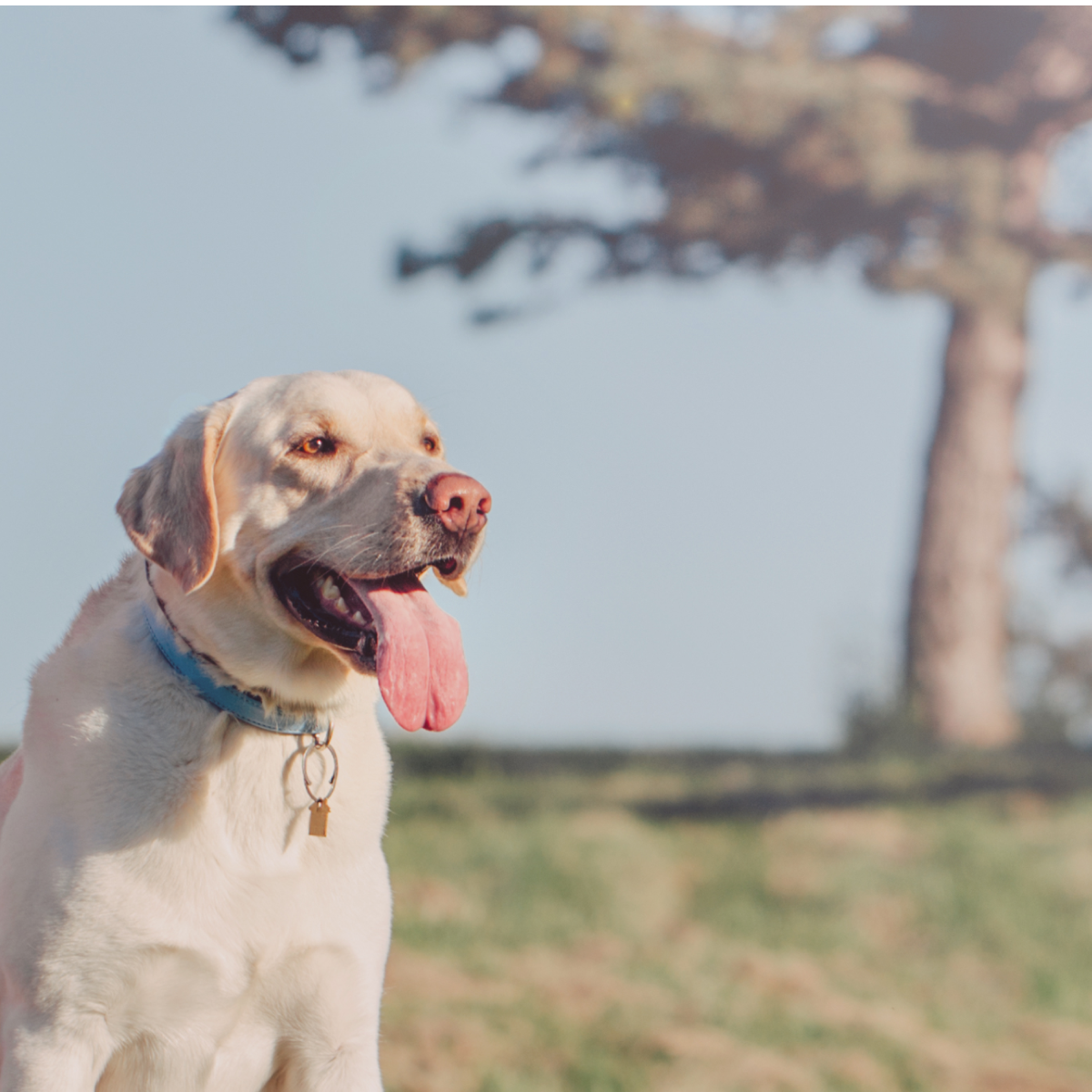 《 東唐漾・買家訪談》 買房子，我想跟建商談｜入手嘉義水上建案從搜尋到成交的真實過程