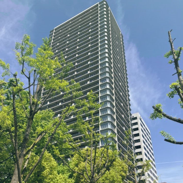 プレミストタワー大阪新町 3608 
