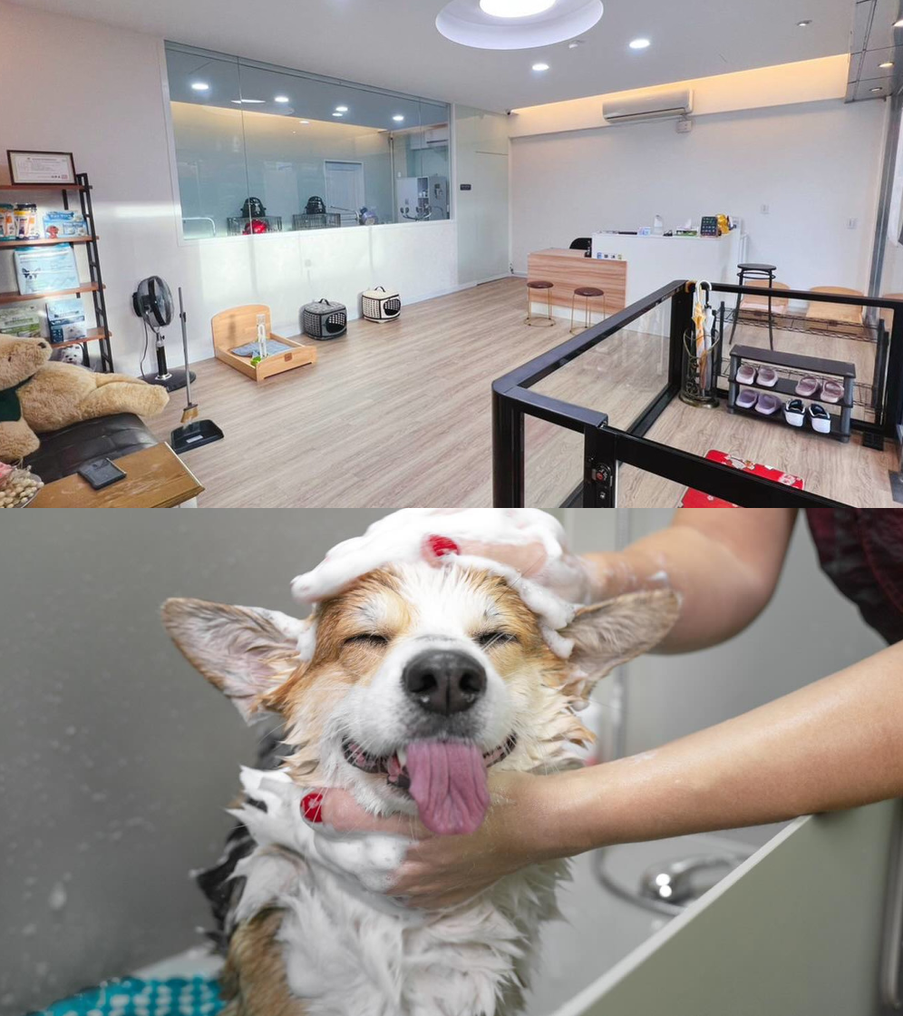 Frame 1171276700.png