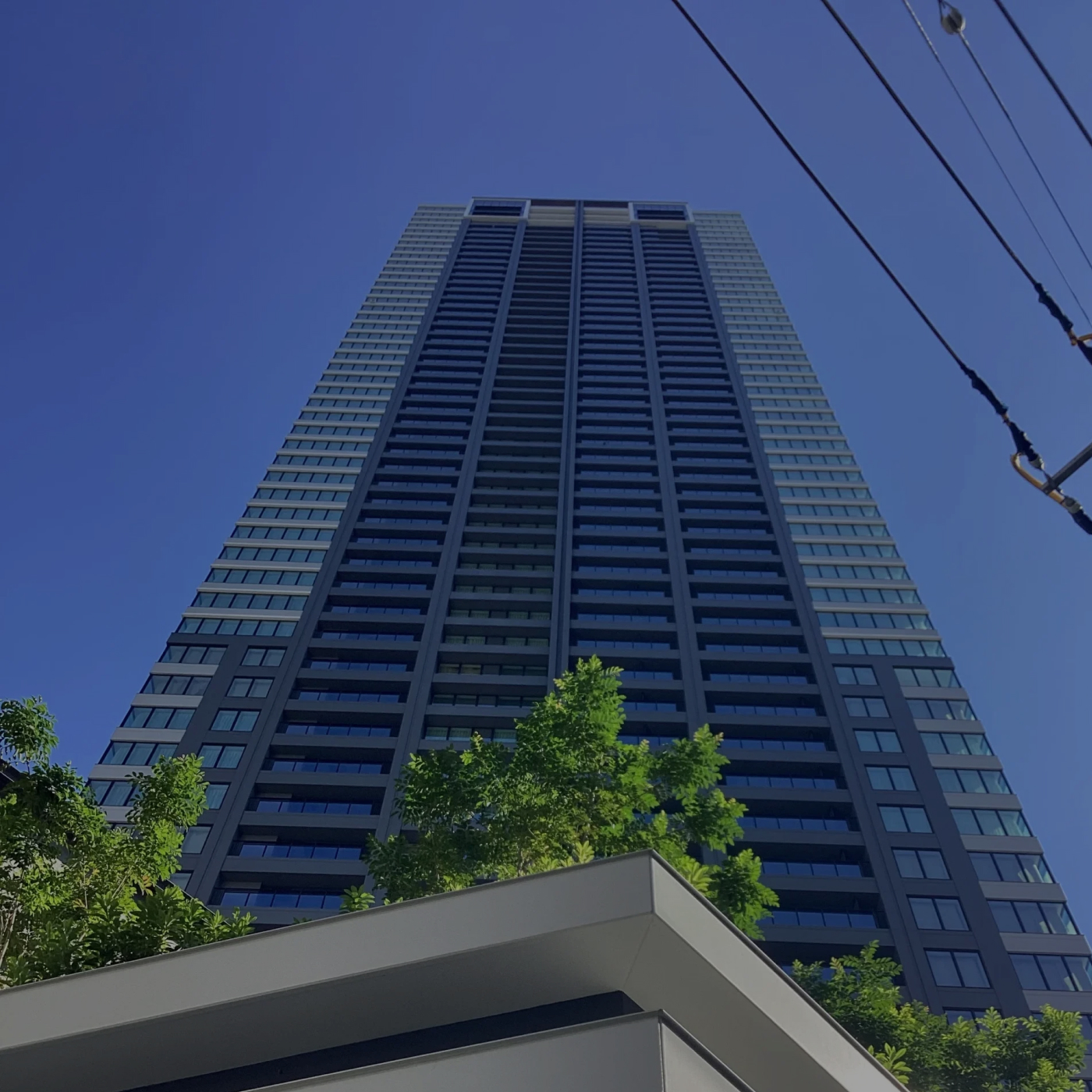 Architectural Design-m.jpg