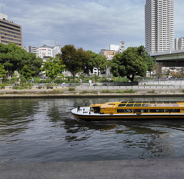 DJI_20241027100222_0476_D - frame at 0m8s 1.png